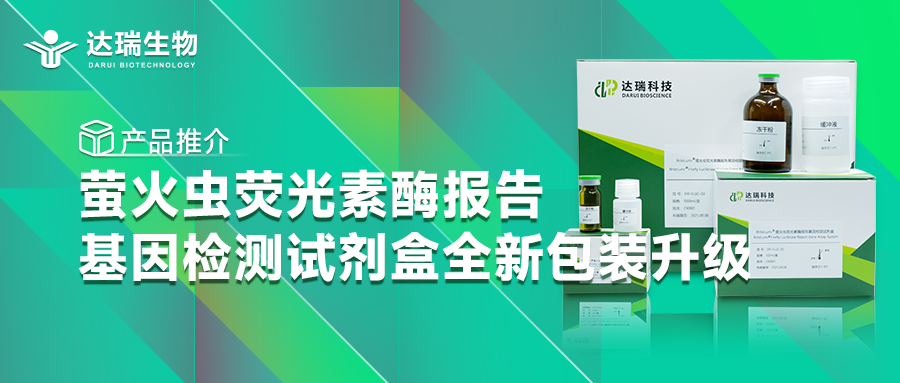 產(chǎn)品推介丨螢火蟲熒光素酶報(bào)告基因檢測(cè)試劑盒全新包裝升級(jí)
